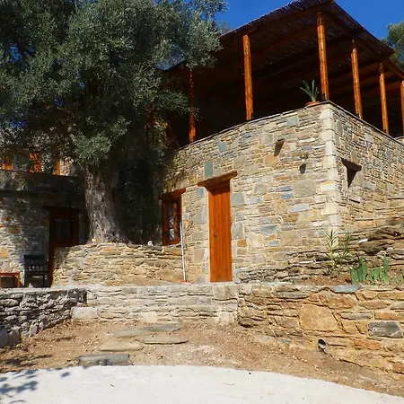 Zarka Villas Ζάρακες